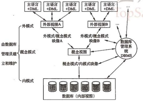 軟考系統架構設計師教程第二章 計算機網絡基礎知識與計算機系統服務學習筆記